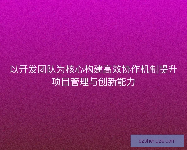 以开发团队为核心构建高效协作机制提升项目管理与创新能力