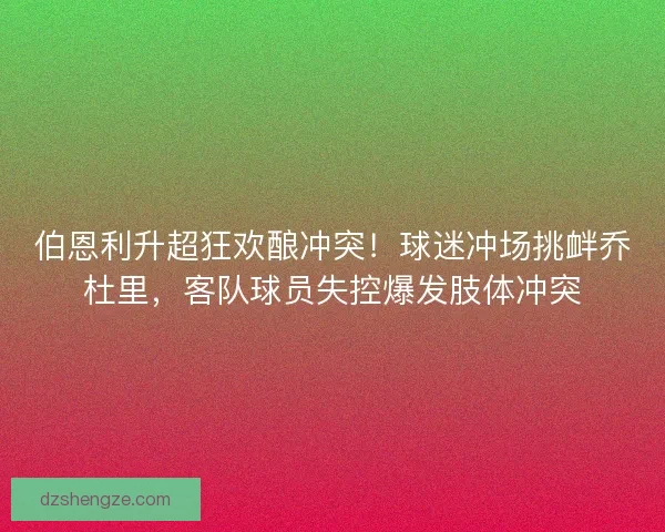 伯恩利升超狂欢酿冲突！球迷冲场挑衅乔杜里，客队球员失控爆发肢体冲突