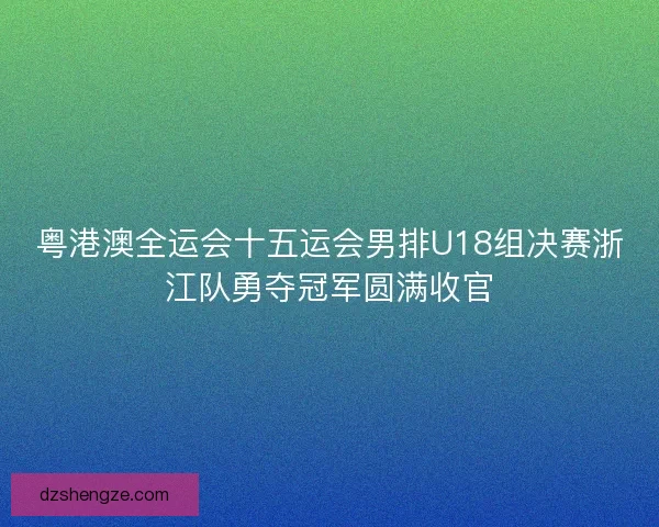 粤港澳全运会十五运会男排U18组决赛浙江队勇夺冠军圆满收官